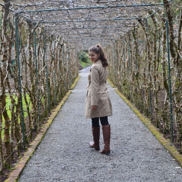 Meet your Posher, Wesley - Picture 1 of 1